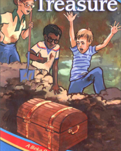 [Sách] Abeka Grade 2 : Hidden Treasure - Abeka Grade 2c Reading Program - Sách giấy gáy xoắn