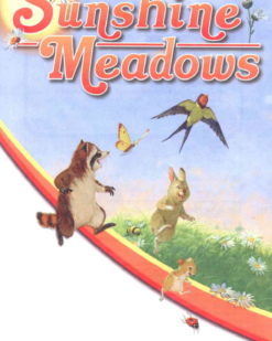 [Sách] Abeka Grade 2 : Sunshine Meadows - Abeka Grade 2f Reading Program - Sách giấy gáy xoắn