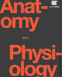 [Sách] Anatomy and Physiology ( OpenStax ) – Sách giấy gáy xoắn