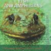 [Sách] Britannica Illustrated Science Library: Fish and Amphibians – Sách giấy gáy xoắn