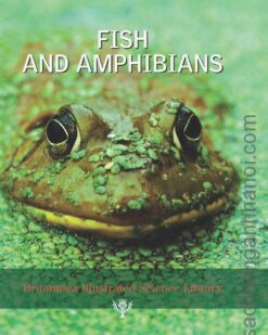 [Sách] Britannica Illustrated Science Library: Fish and Amphibians – Sách giấy gáy xoắn