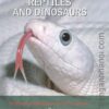 [Sách] Britannica Illustrated Science Library: Reptiles and Dinosaurs – Sách giấy gáy xoắn