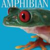 [Sách] DK Eyewitness - Amphibian – Sách giấy gáy xoắn