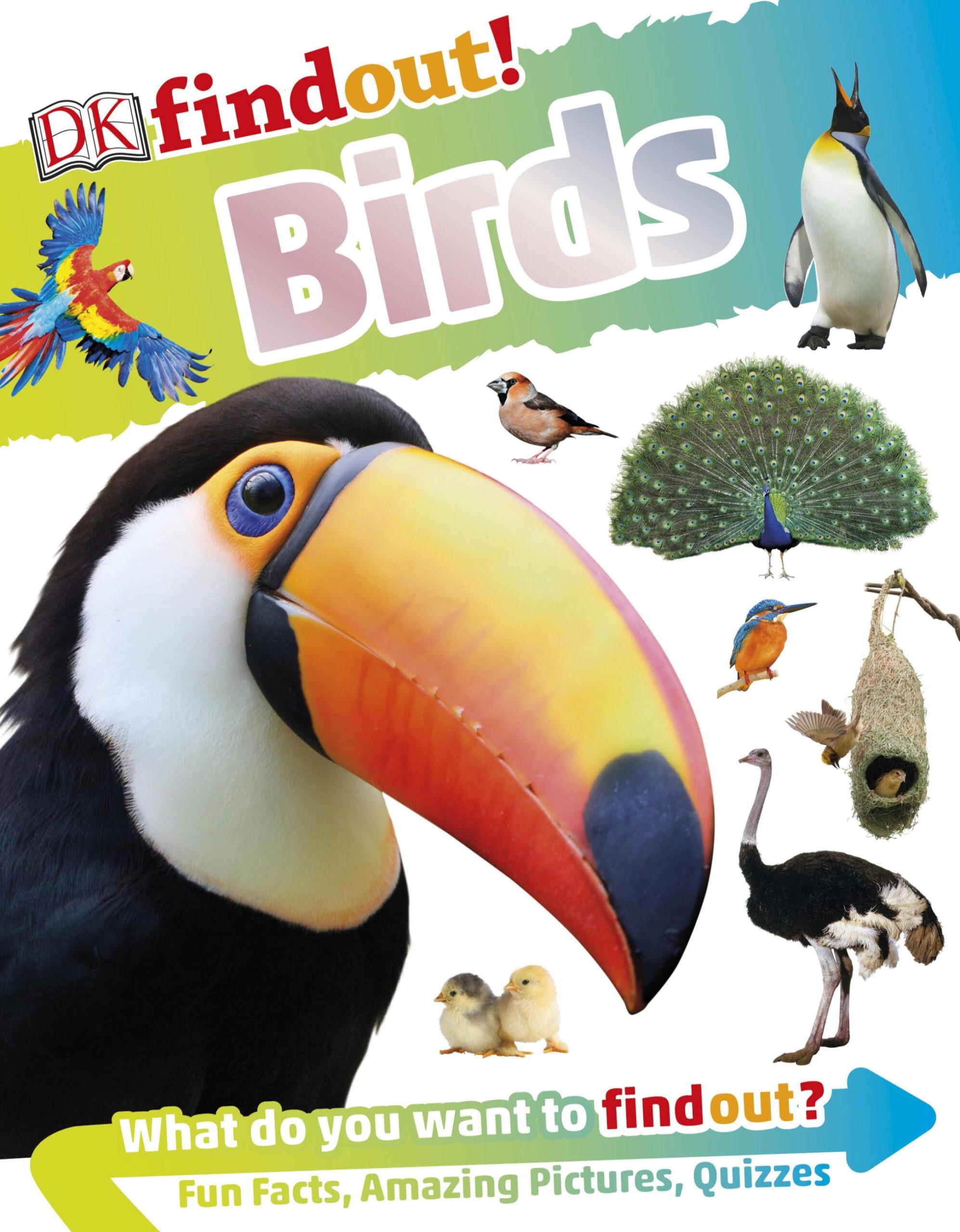 [Sách] DK Findout Birds by Ben Hoare – Sách giấy gáy xoắn - Sách Tiếng ...