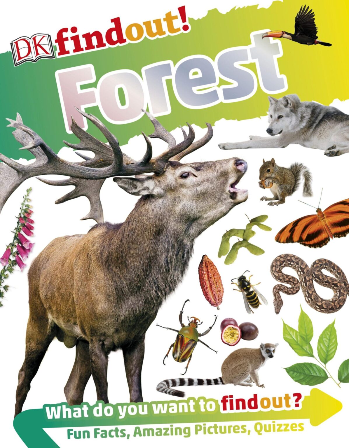 [Sách] DK Findout Forest by Cat Hickey – Sách giấy gáy xoắn - Sách ...