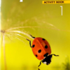 [Sách] Hopscotch level 1 Activity Book (2015) - Sách giấy gáy xoắn
