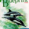 [Sách] Longman - BluePrint Two Student's Book - Sách giấy gáy xoắn