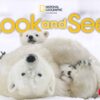 [Sách] Look and See 2 Student's Book (AMERICAN ENGLISH) - Sách giấy gáy xoắn