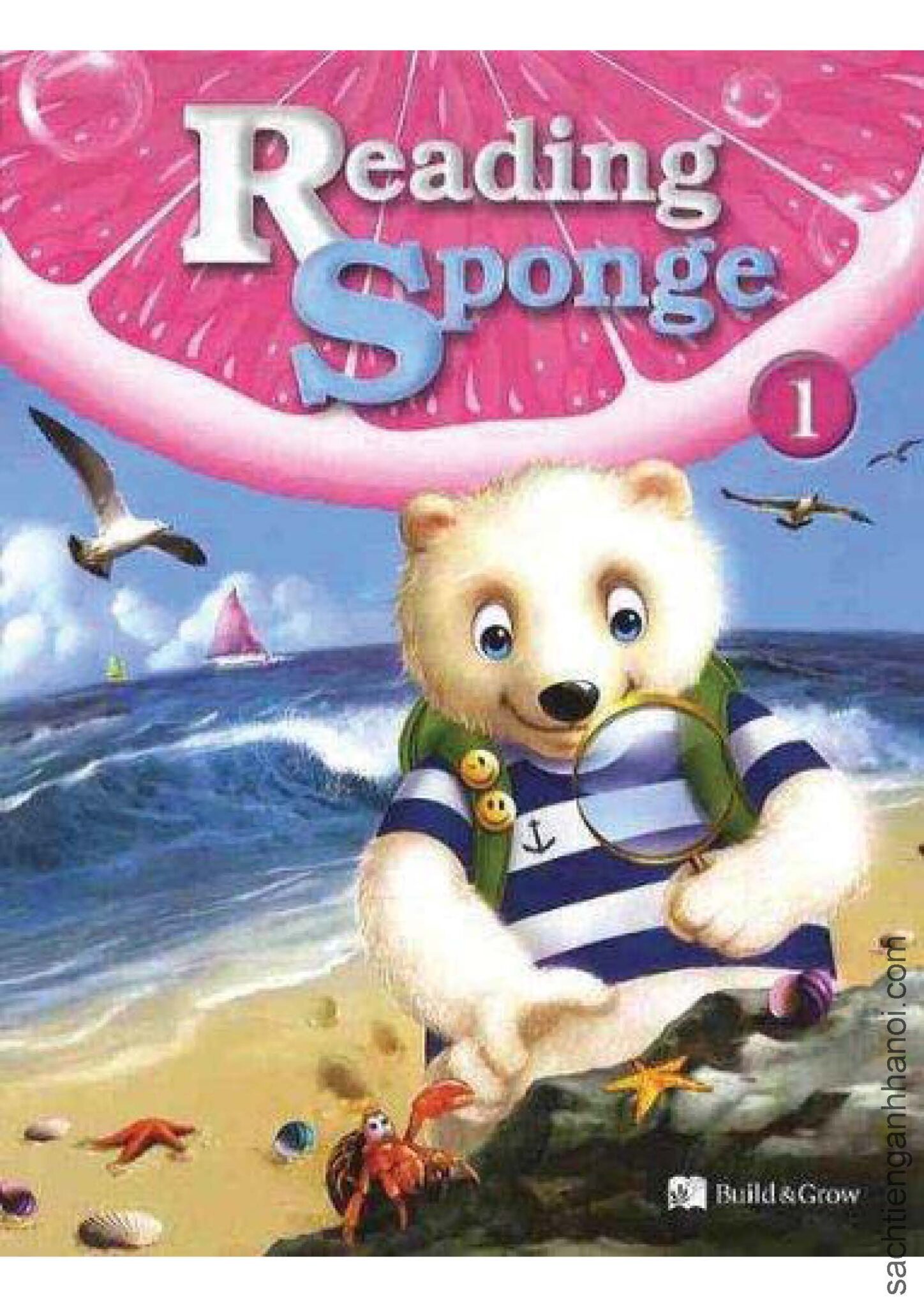 [Sách] Reading Sponge Level 1 Student’s Book – Sách giấy gáy xoắn ...