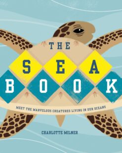 [Sách] The Sea Book by Charlotte Milner - Sách giấy gáy xoắn