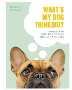 [Sách] Whats My Dog Thinking Understand Your Dog to Give Them a Happy Life by Hannah Molloy – Sách giấy gáy xoắn