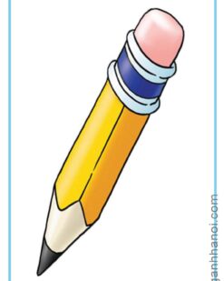 [THẺ FLASHCARD] Picture Flashcards for Starter B – 23 thẻ cỡ A5 , ép plastics