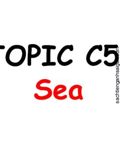 [THẺ FLASHCARD] Popodoo Smart English Topic C5: Sea - 17 thẻ, 2 mặt, ép plastics
