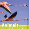 [Truyện] Oxford Read and Discover Level 3: Animals in the Air