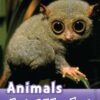 [Truyện] Oxford Read and Discover Level 4: Animals At Night
